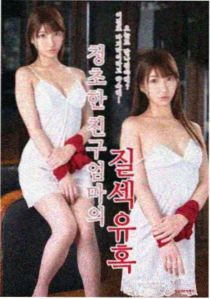 白噪音 编辑推荐